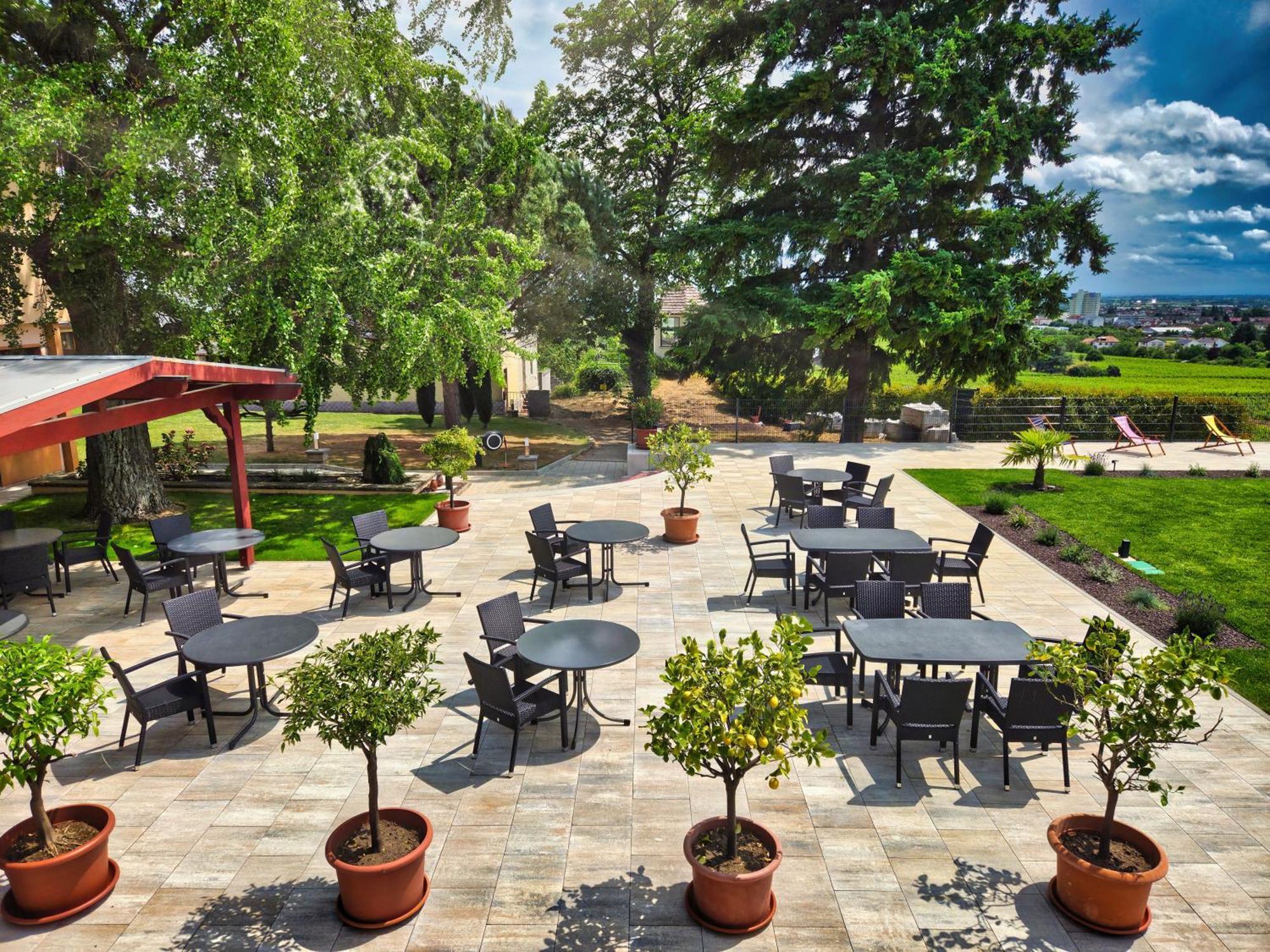 Hotel Tenner Нойштадт-ан-дер-Вайнштрасе Экстерьер фото